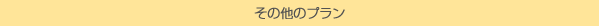 その他プラン