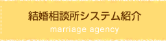 結婚相談所システム紹介