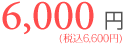 月会費6000円